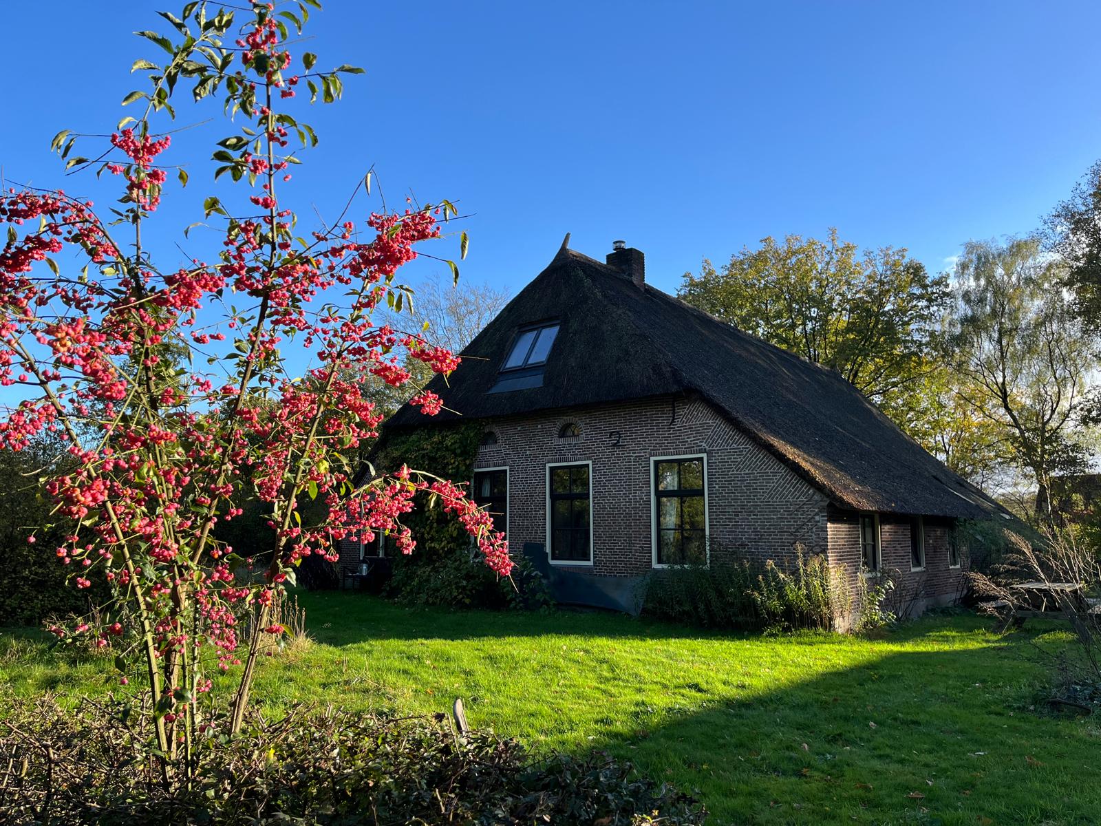 Locatie in Uffelte