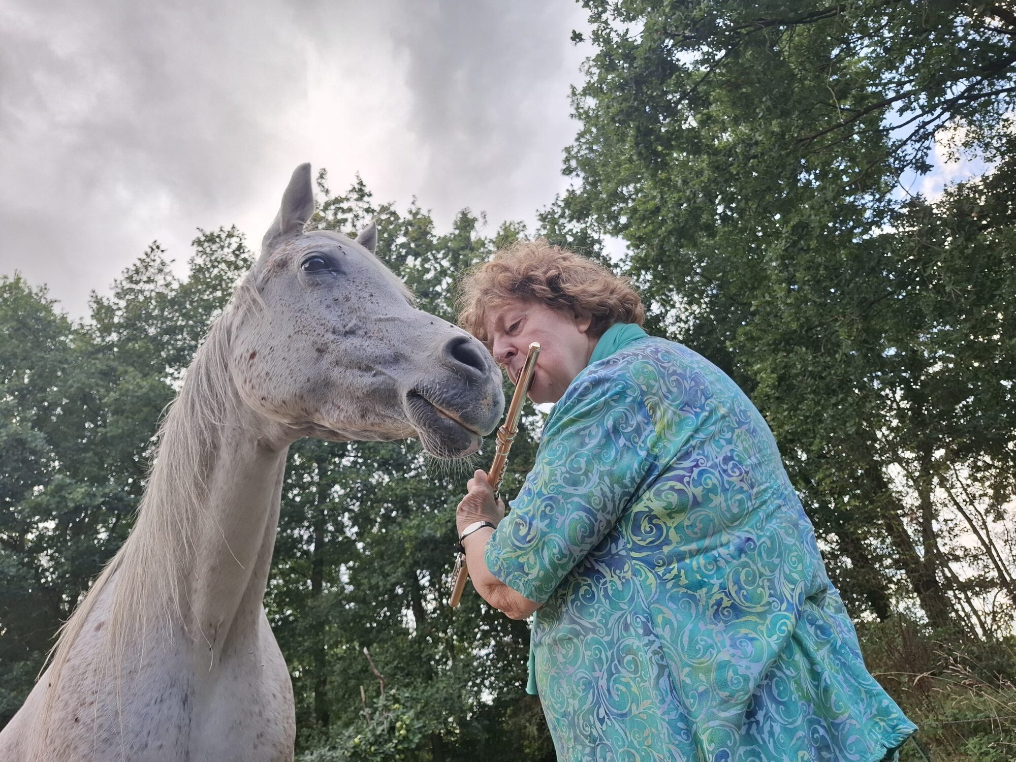 Interactie met paard tijdens de retraite