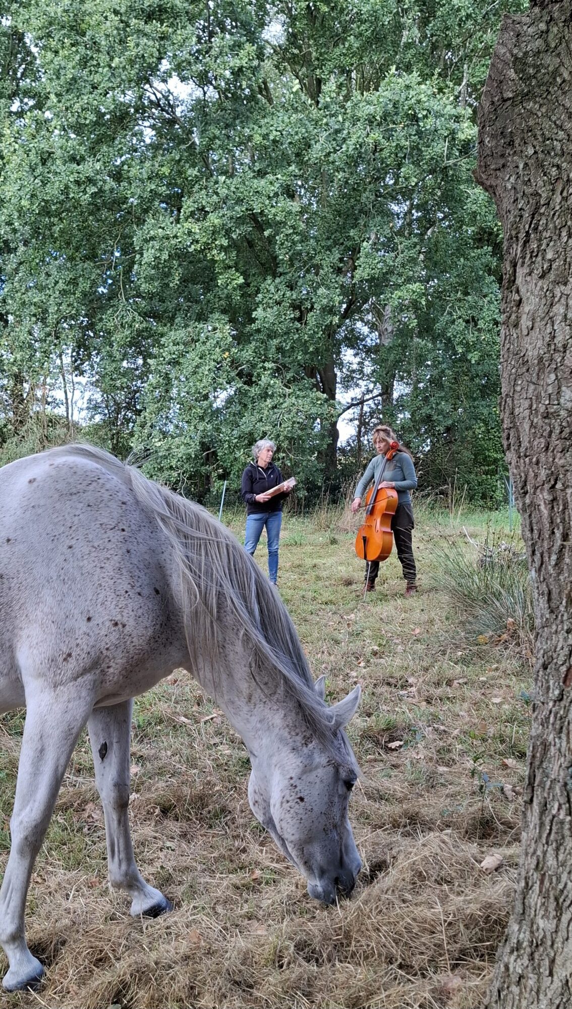 Deelnemer met paard tijdens de retraite