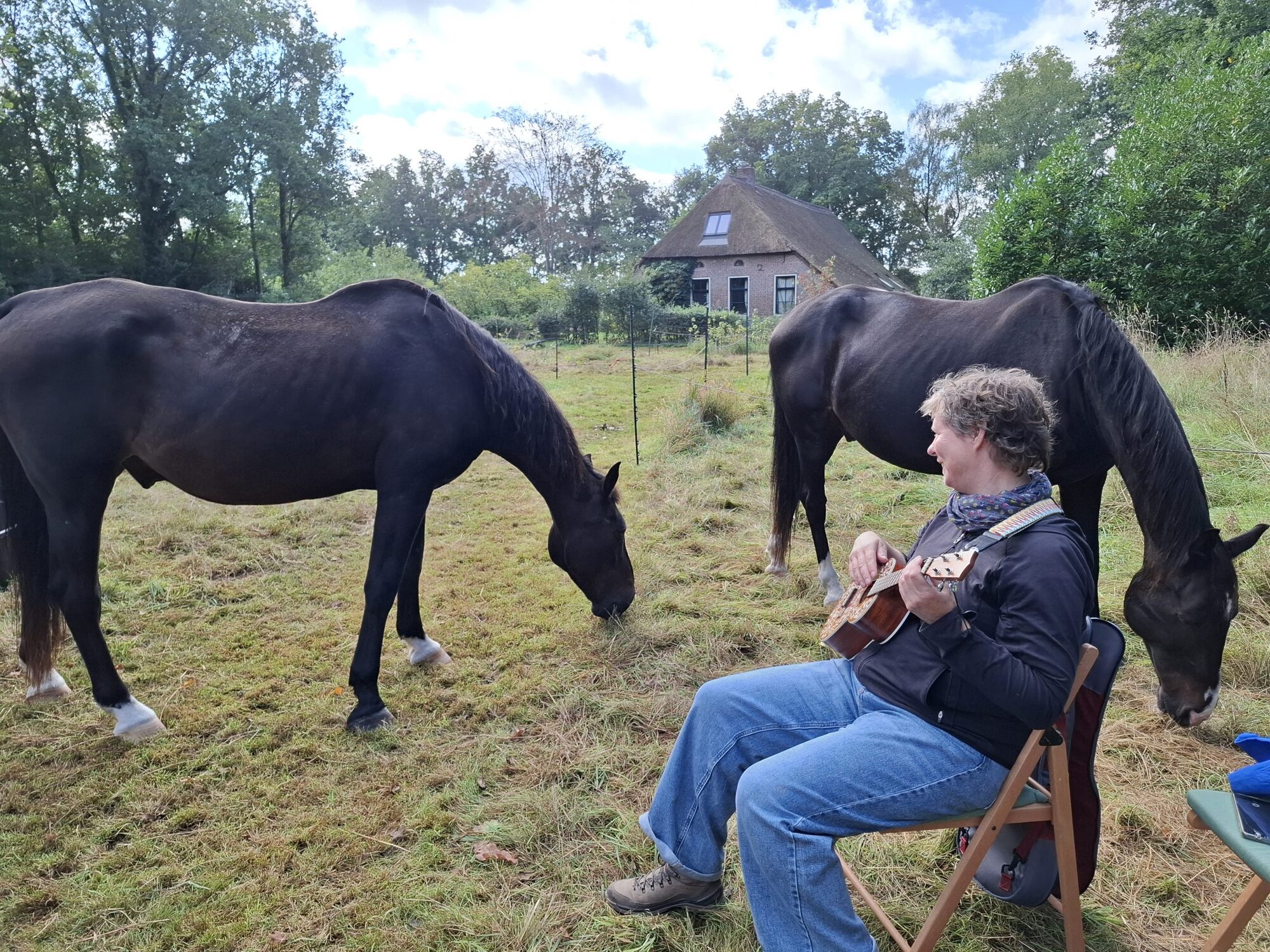 Muziek maken bij de paarden