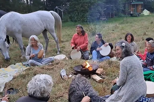 Paard en impro wanneer buiten