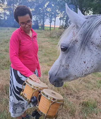 Retraite Paard en Impro*
