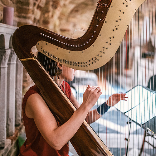 mevrouw musiceert moeiteloos met haar harp